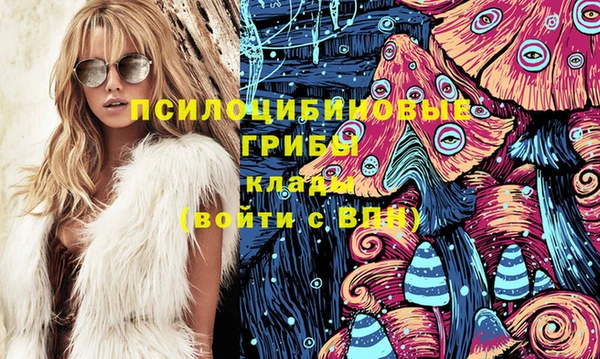 прущие крисы Арсеньев