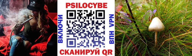 Галлюциногенные грибы MAGIC MUSHROOMS  нарко площадка официальный сайт  Инсар  закладки 